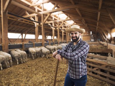 Portrait of successful caucasian farmer cattleman proudly standing in sheep barn.